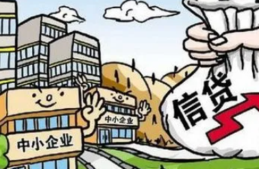 助力创业梦想，深度解读政府小企业贷款